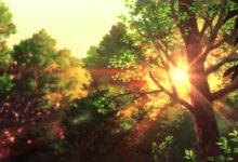 工作总结代写| 工作总结写作中表述“做法”的七种方法-【代写社】